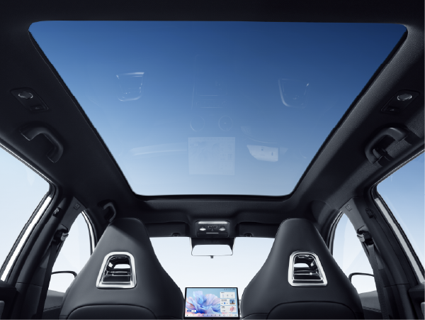 Panoramic Roof